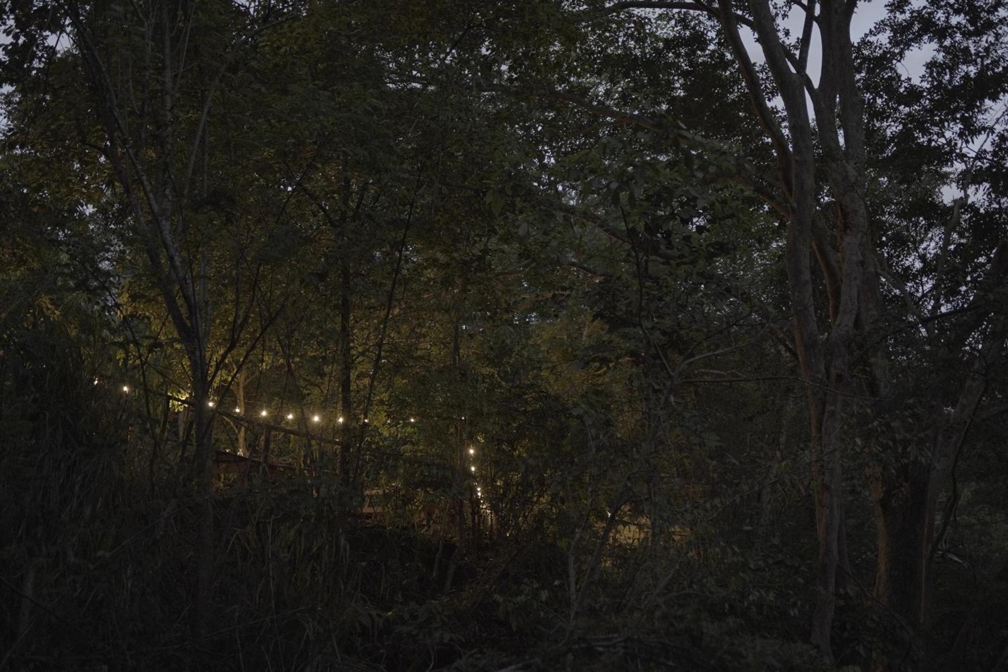 River Glamping By Gaga Bees Udawalawe Exterior foto